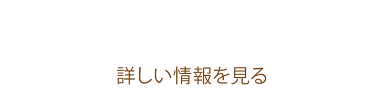 月々8800円～プラン